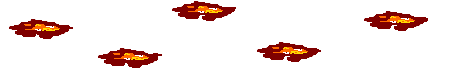 A bunch of red flowers are floating in the air on a white background.