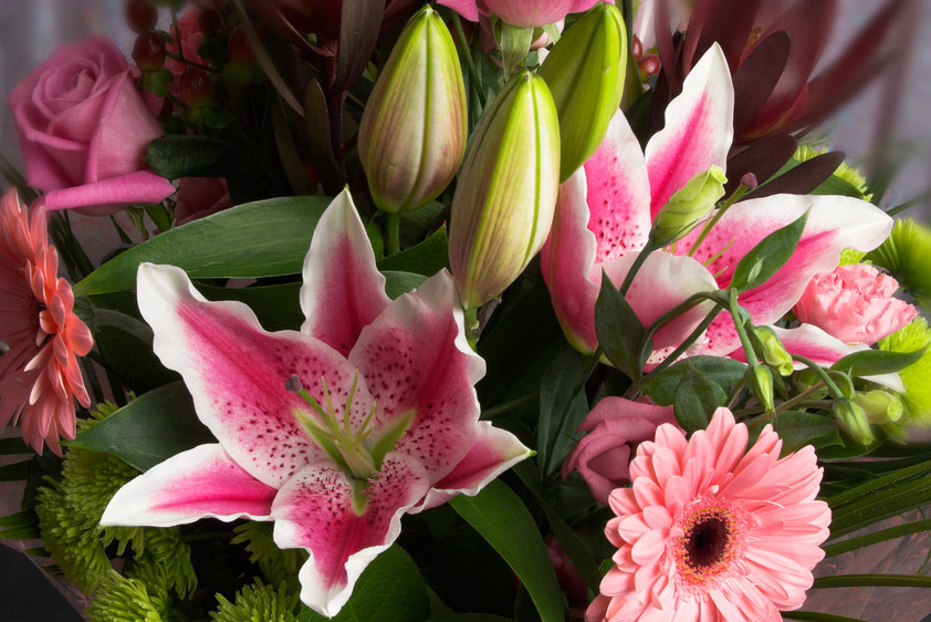 Speedy flower delivery The Flower Stop