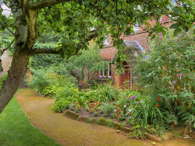 Flowers, path and tree in front garden of attractive cottage