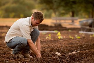 Seeding bare soil