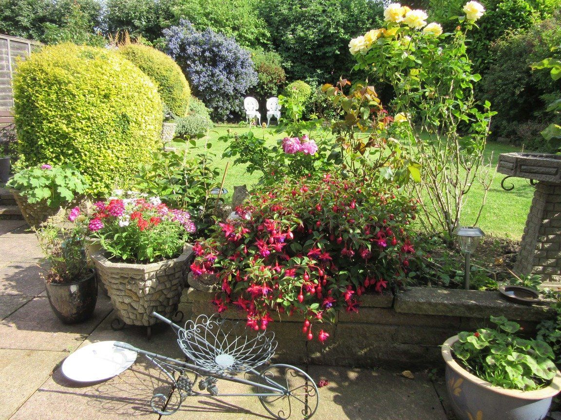 Flowers in bed and pots
