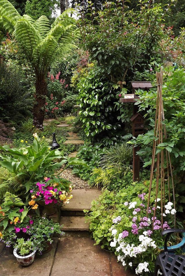 Verdant and lush rear garden with many plants and flowers