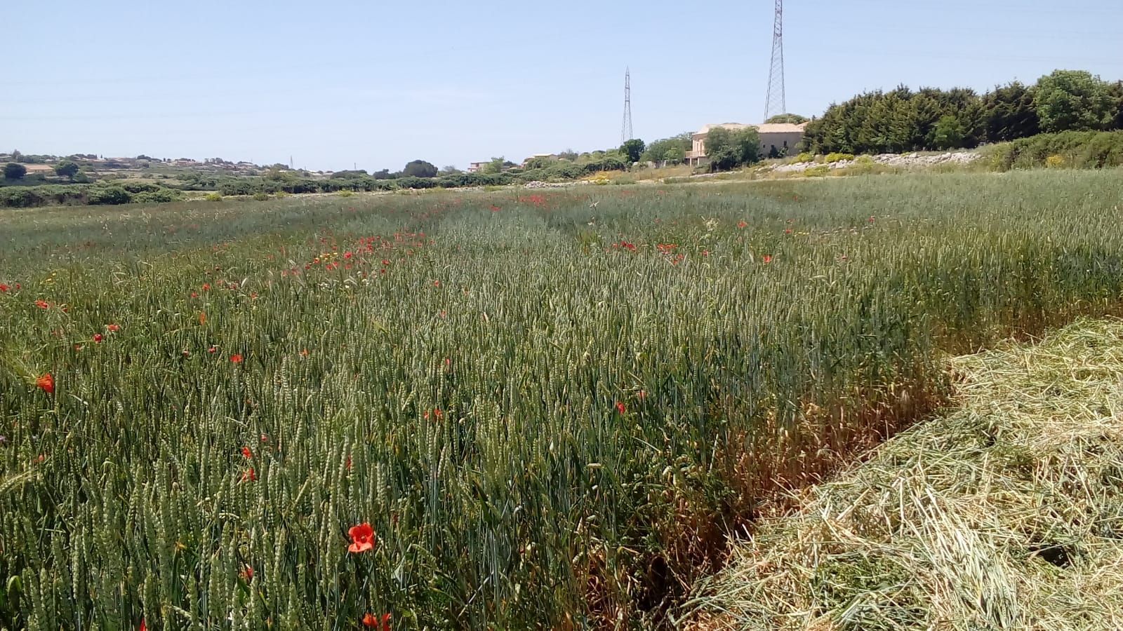 Partner tecnico per agricoltura, zootecnia e caseificazione