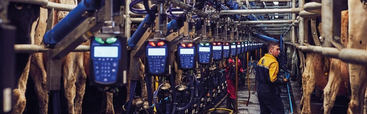 50 anni di esperienza al servizio del settore