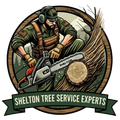 tree service in shelton connecticut