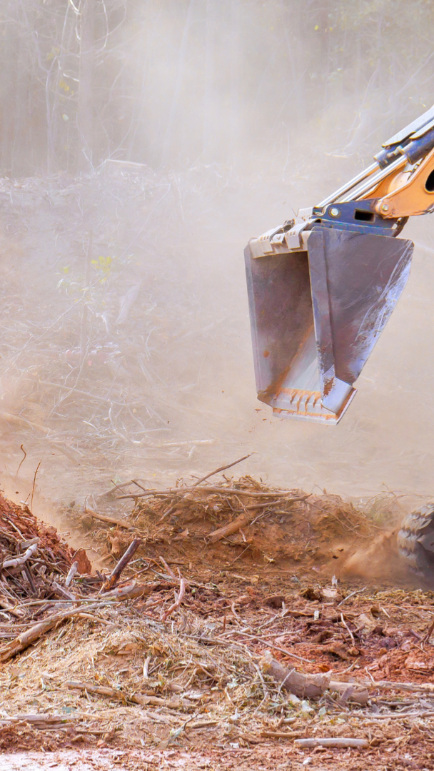 tree-service-shelton-connecticut