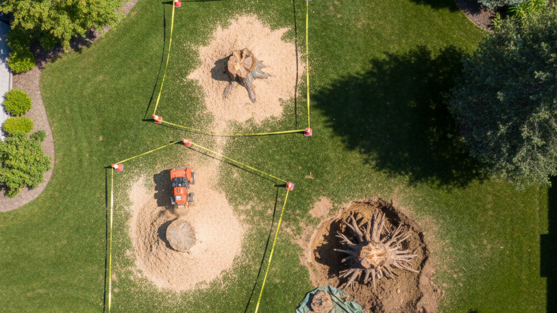 tree service in shelton connecticut