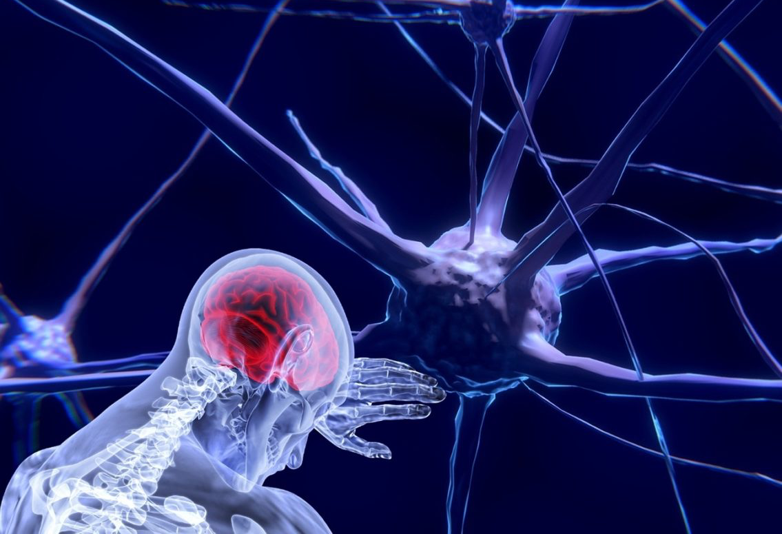 Estudo confirma impacto da manipulação vertebral no sistema nervoso