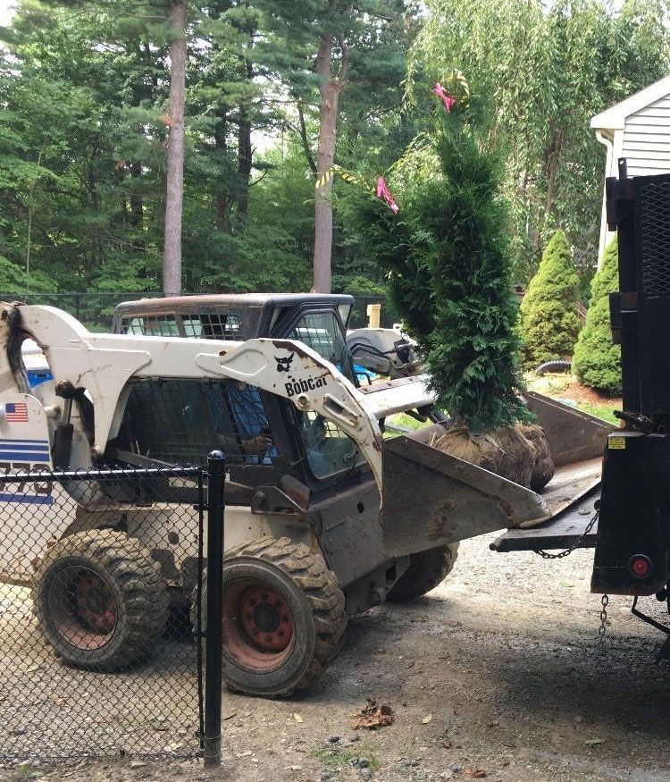 Bobcat Loading A Tree Into A Truck — Shrewsbury, MA — Maintenance Free Landscapes