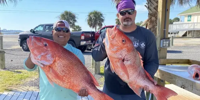 Two men are holding two large red fish in their hands.