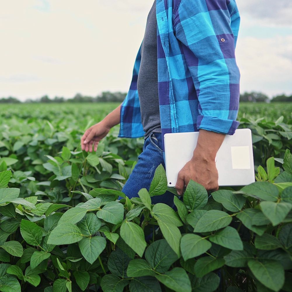 Farm Owners Insurance