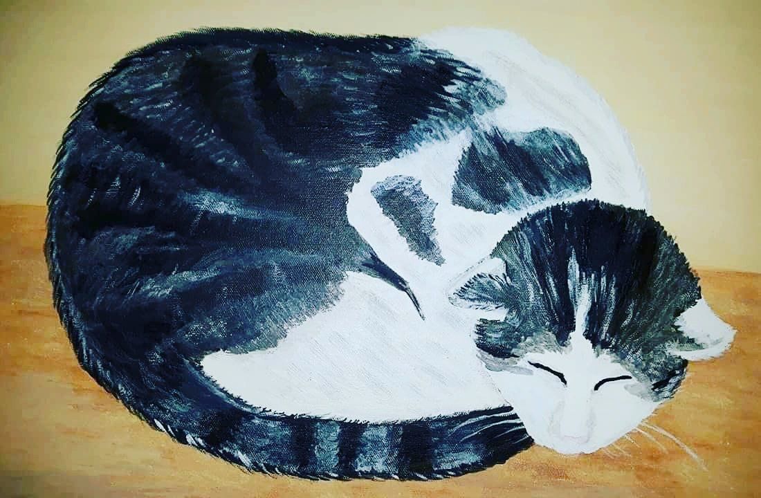Katze, schwarz-weiß getigert, schlafende Katze, Acrylmalerei