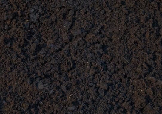A close up of a pile of black soil.