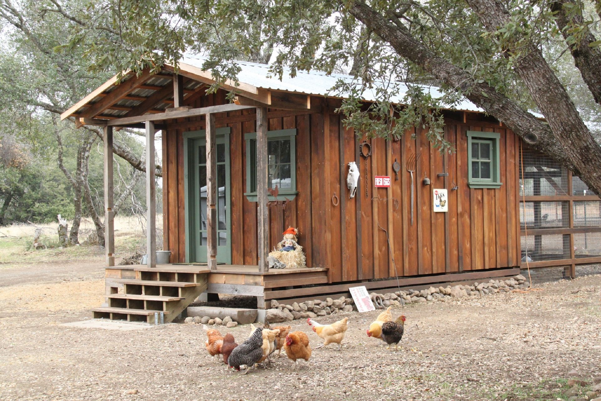 A group of chickens are standing in front of a small wooden house