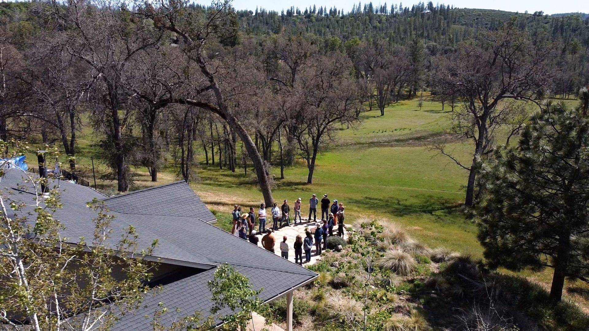 A group of people are standing in a circle in a field surrounded by trees.