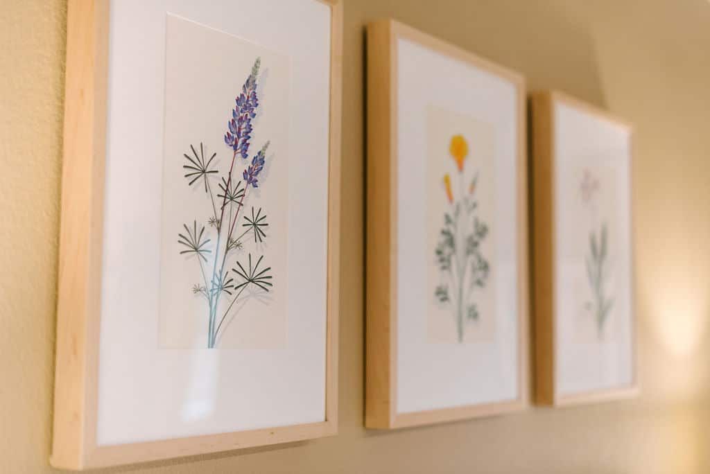 Three framed paintings of flowers are hanging on a wall.