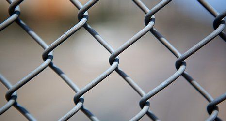 stock and deer fencing