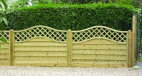 trellis fencing