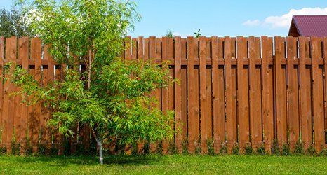 Closeboard fencing