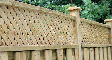 Panel fencing and trellis