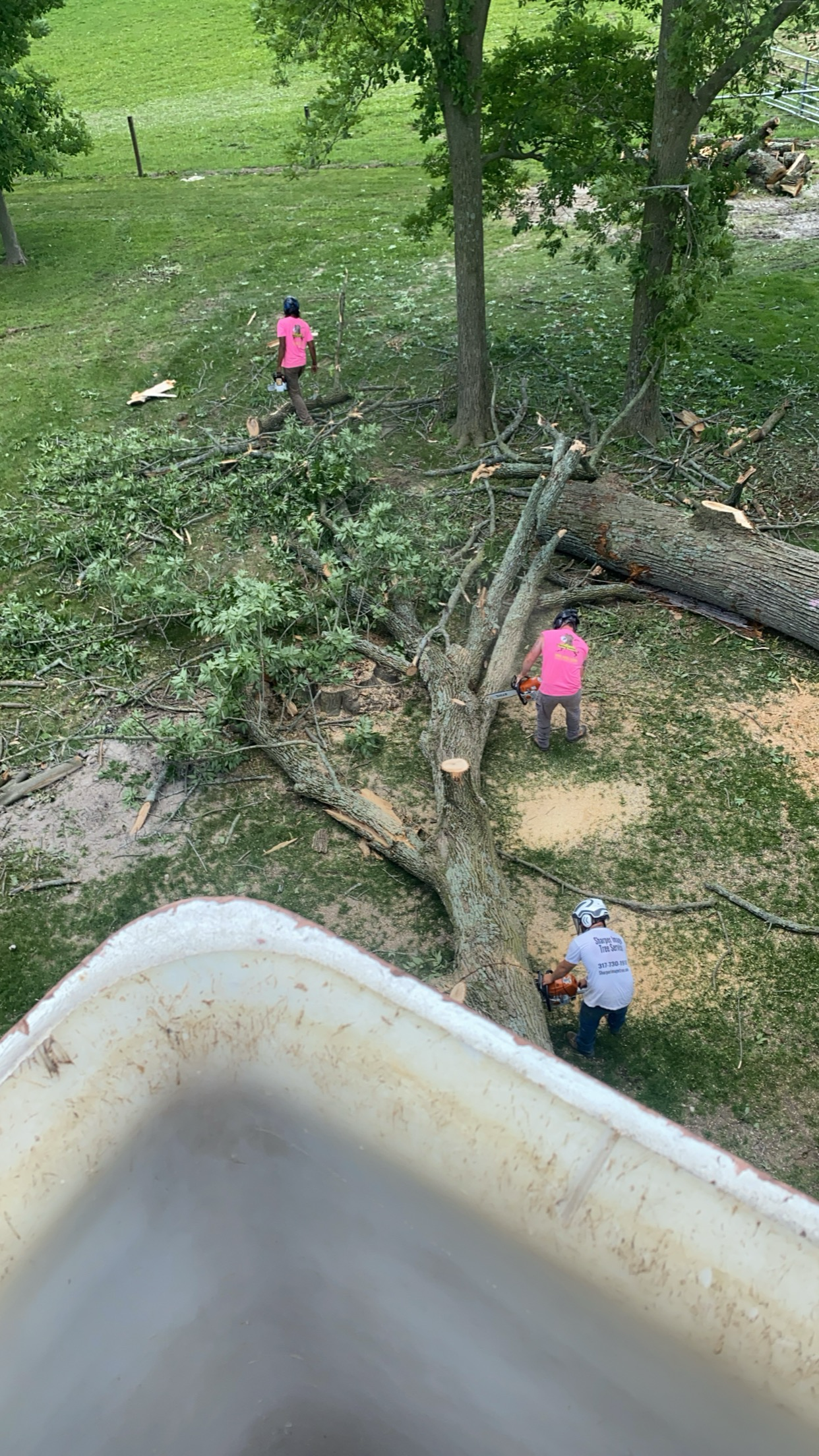 Three people wearing pink and white shirts are working to remove a fallen tree.