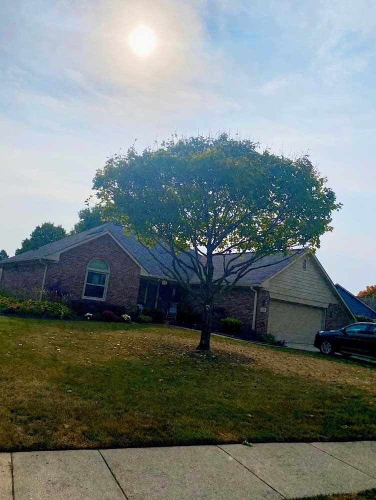 A brick house on a hill with a large tree in front, sunny day, car in driveway.