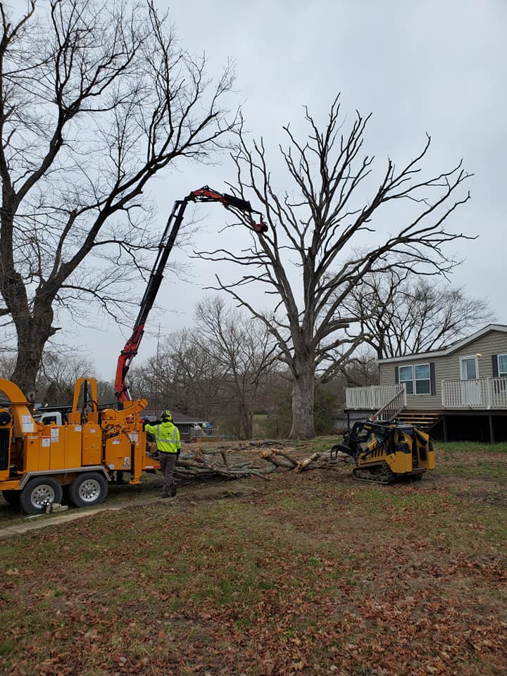 Expert Commercial Tree Service Jasper, IN GE Tree Service
