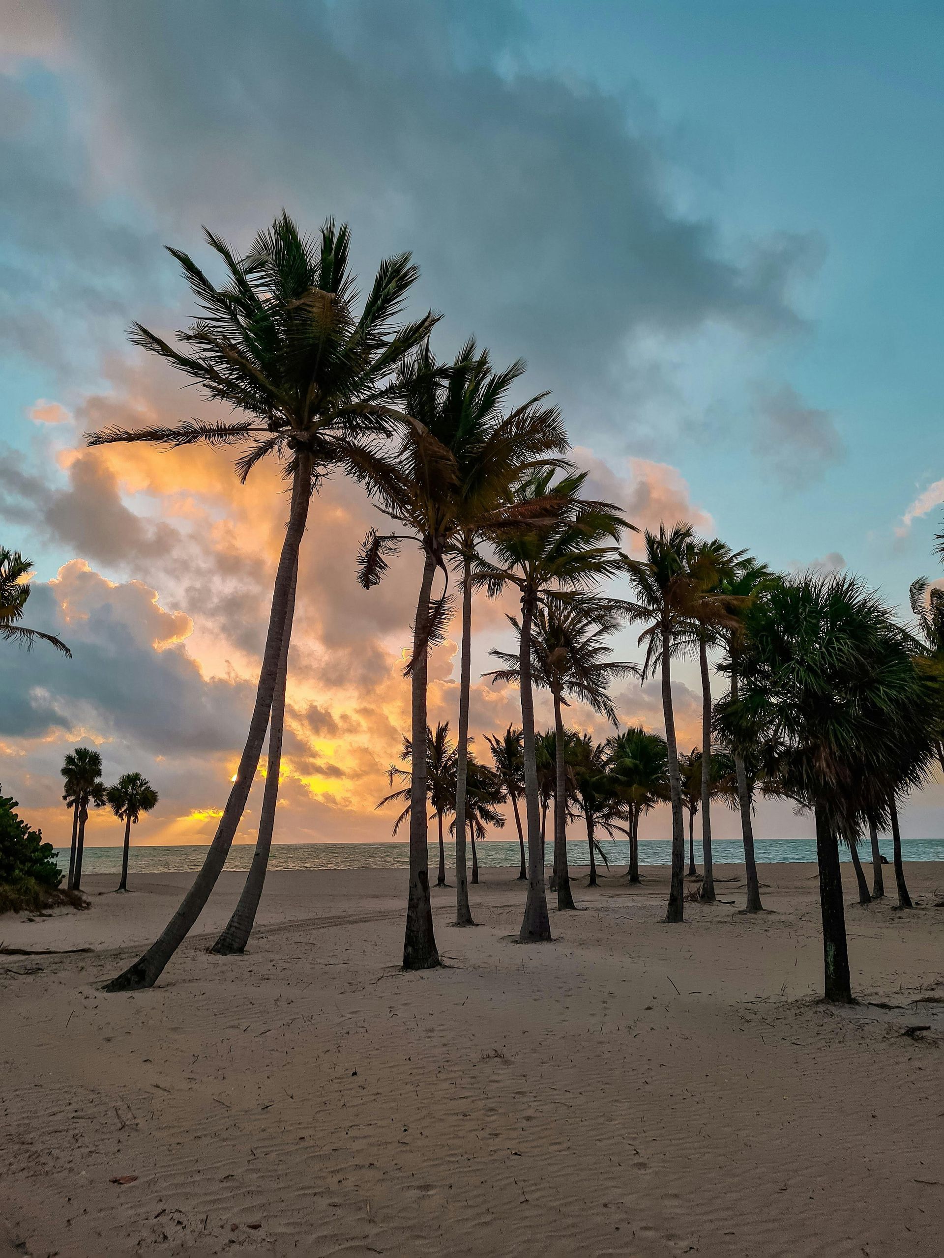 Palm trees on a sandy beach at sunset, with orange and blue skies.