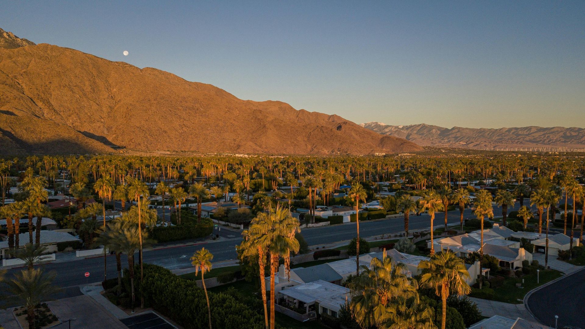 Palm trees and houses under a mountain in the golden hour.