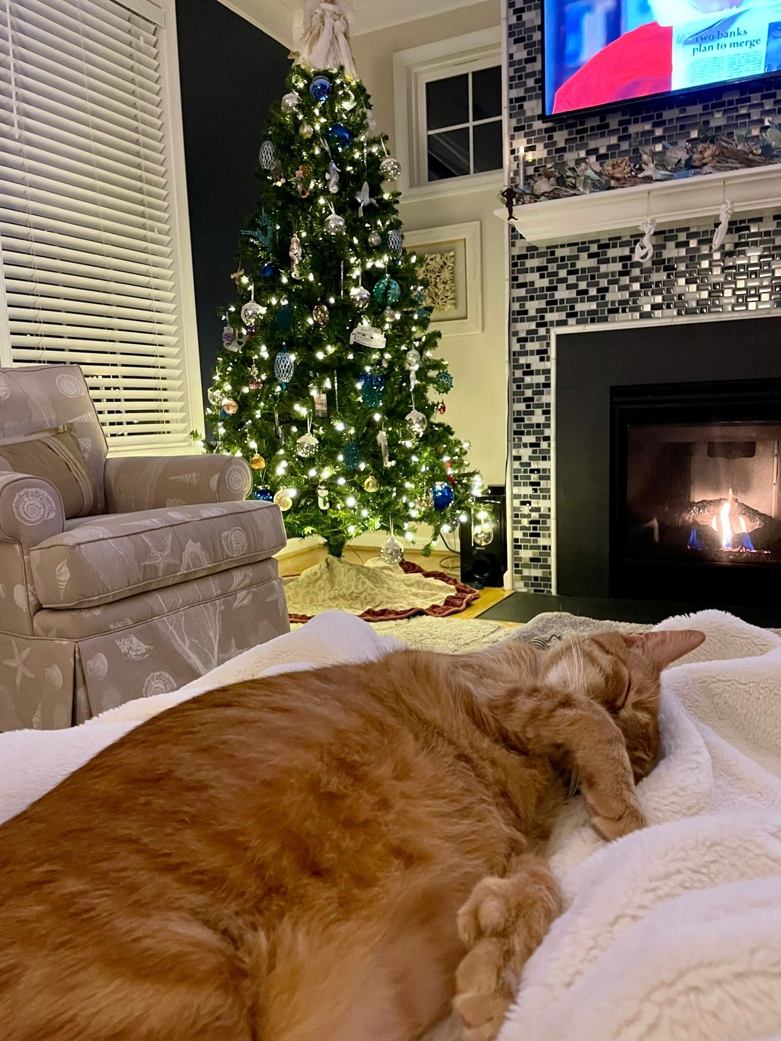 Milo by the fireplace