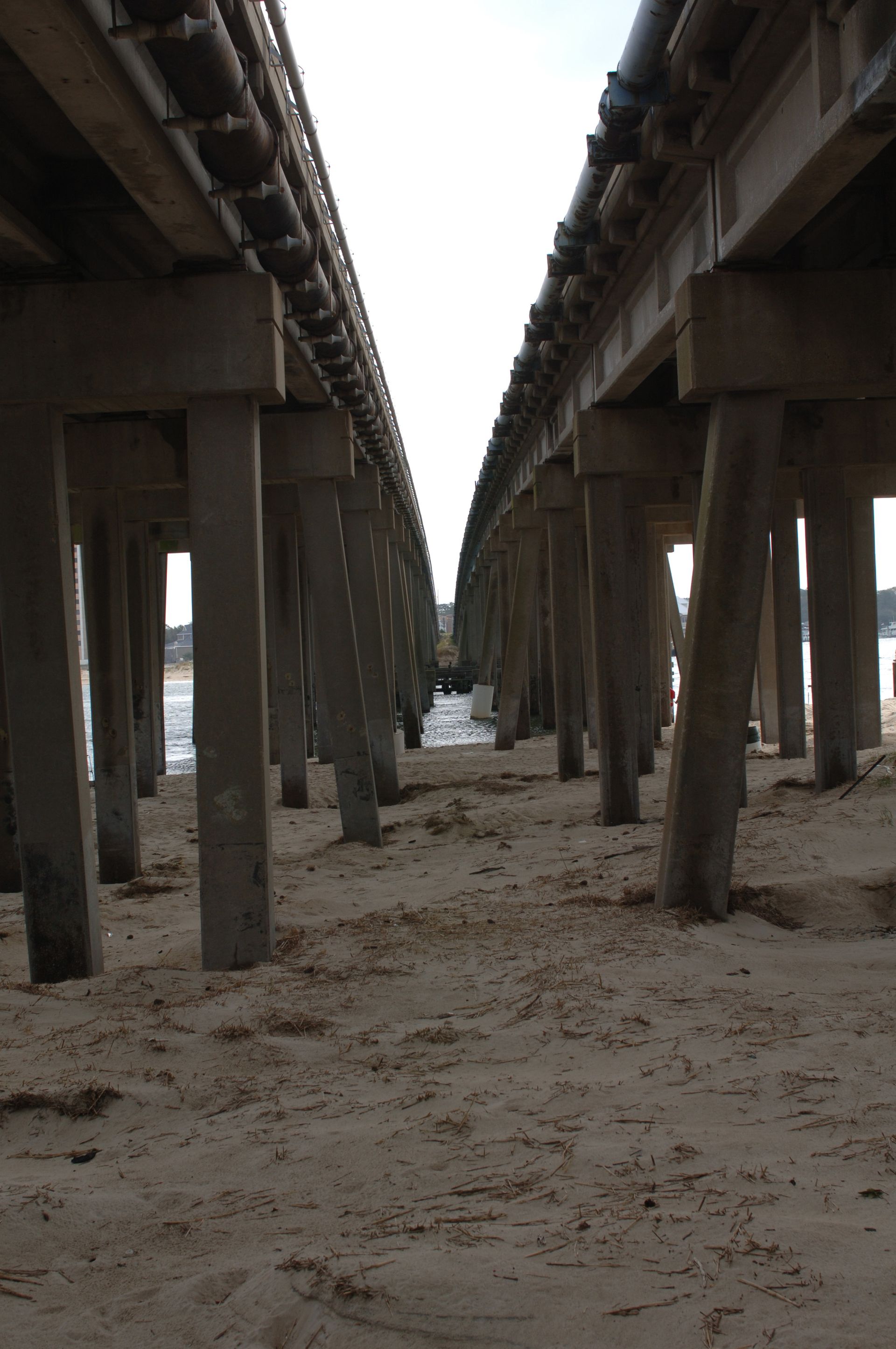Sandler Center Foundation impacts Coastal Virginia