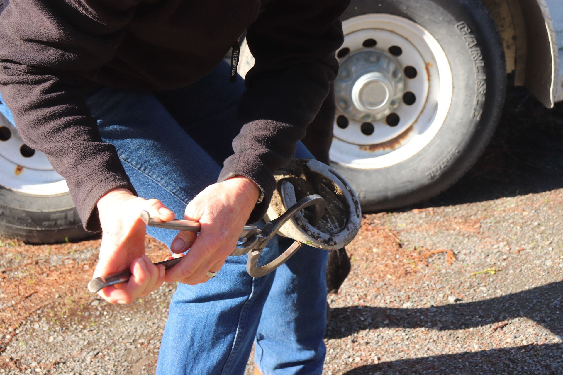 A woman is kneeling down to brush a horse 's hooves.