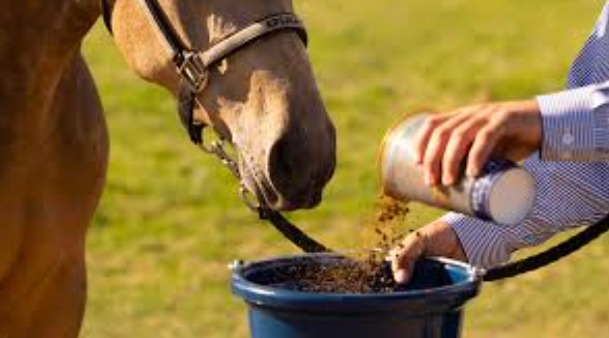 A woman is kneeling down to brush a horse 's hooves.