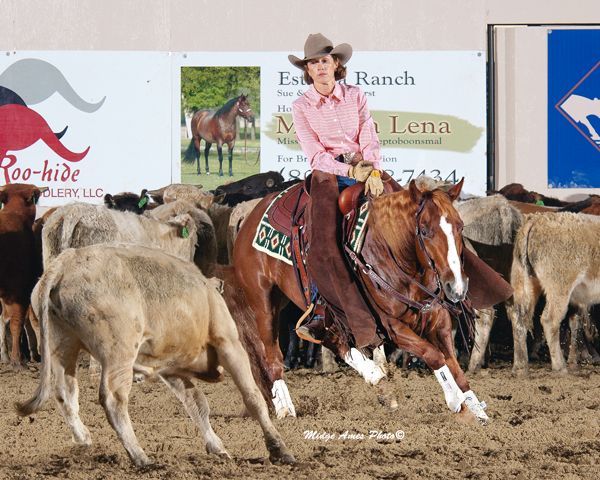 A veterinarian is giving a horse an injection.