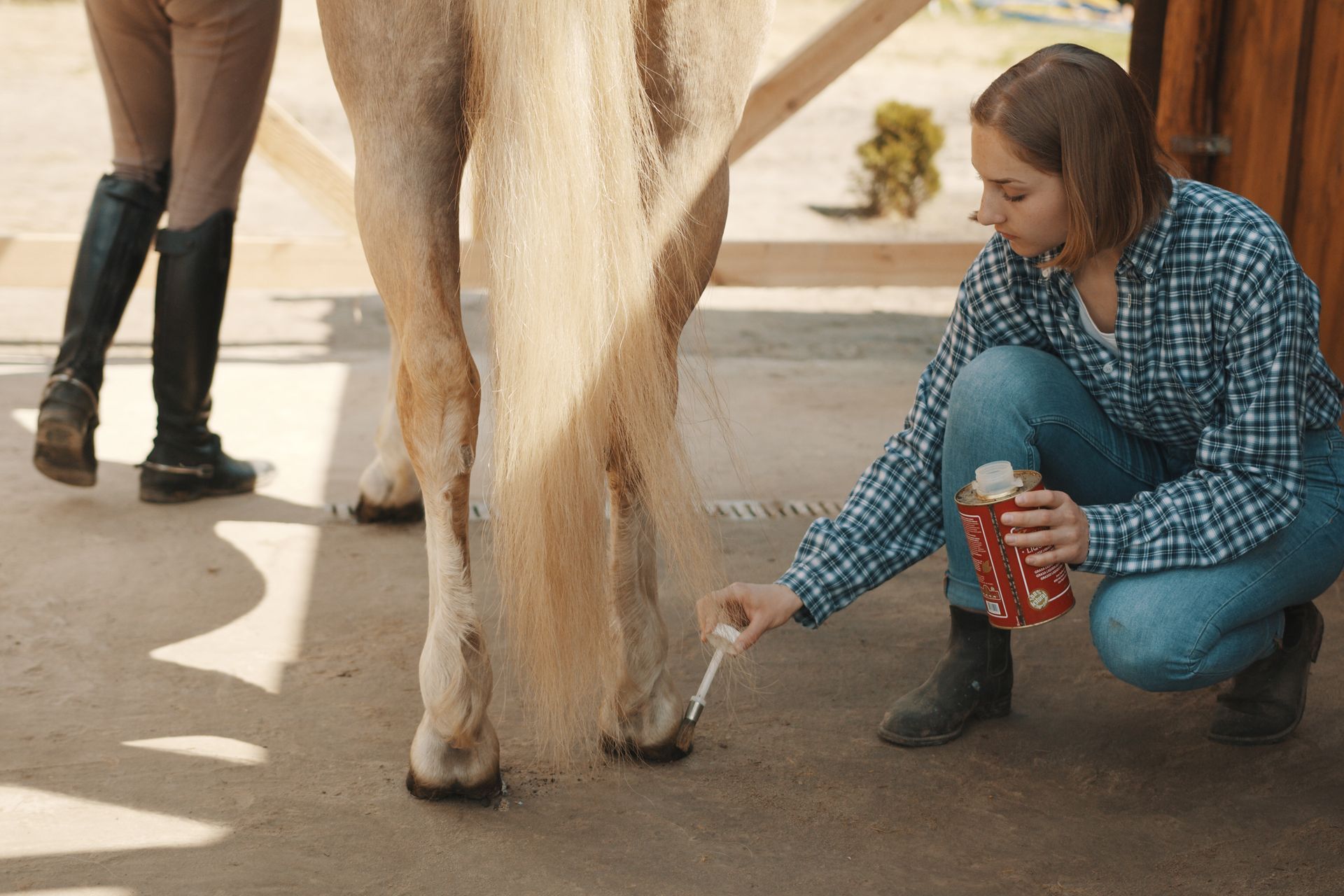 A woman is kneeling down to brush a horse 's hooves.