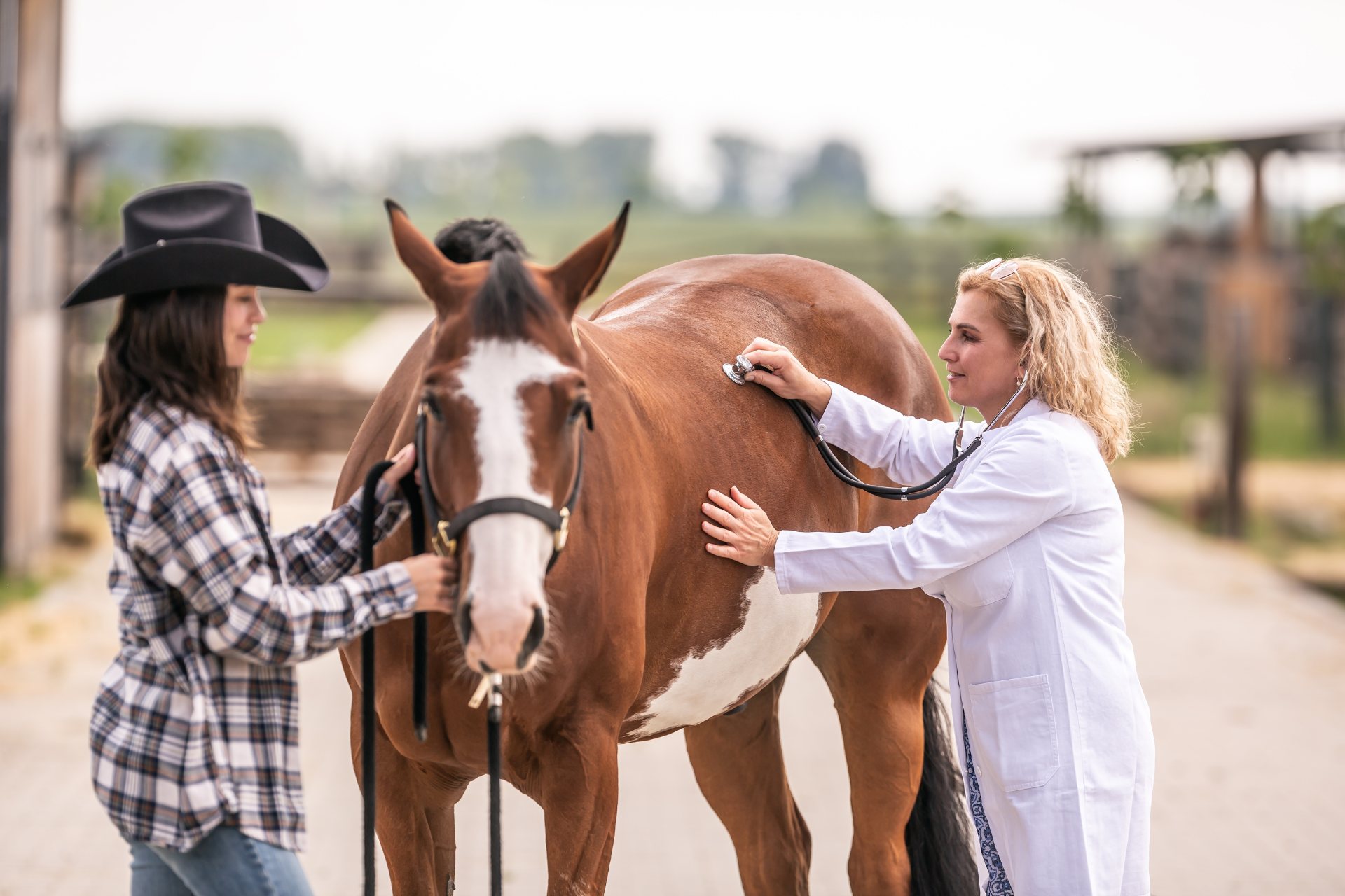 A woman is standing next to a horse while a veterinarian examines it with a stethoscope.