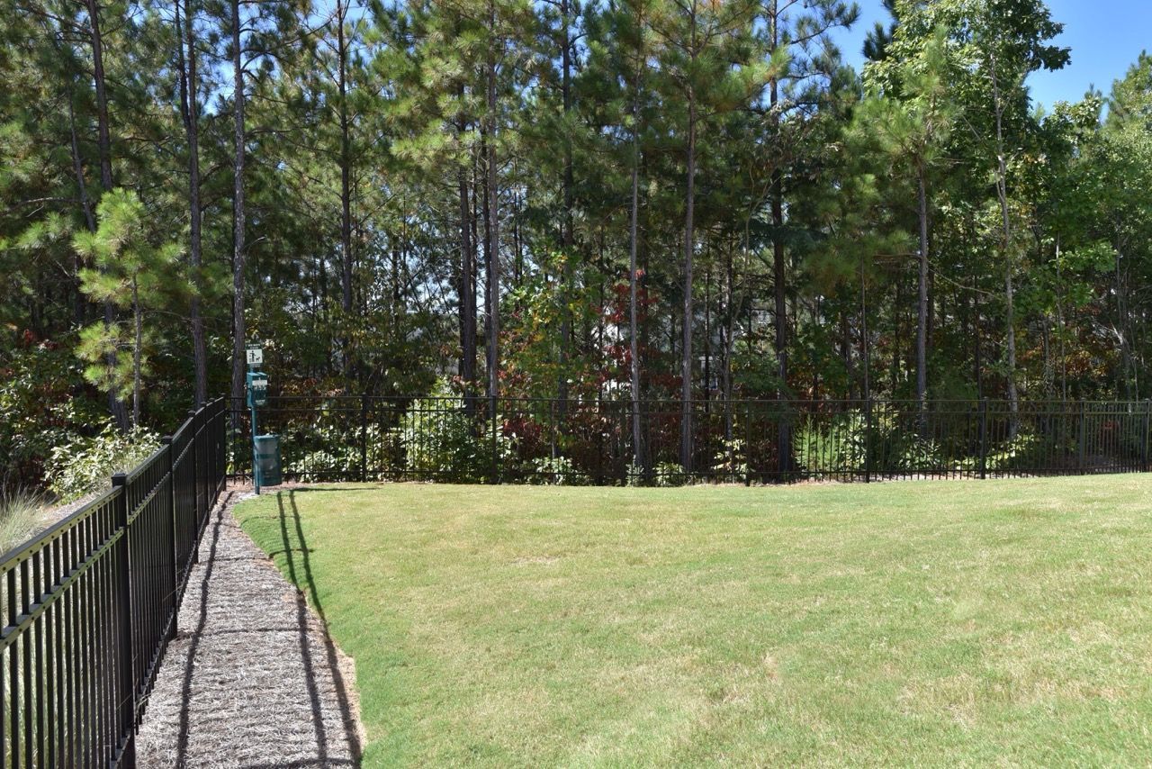 Outdoor lawn area with a black metal fence and a backdrop of trees.