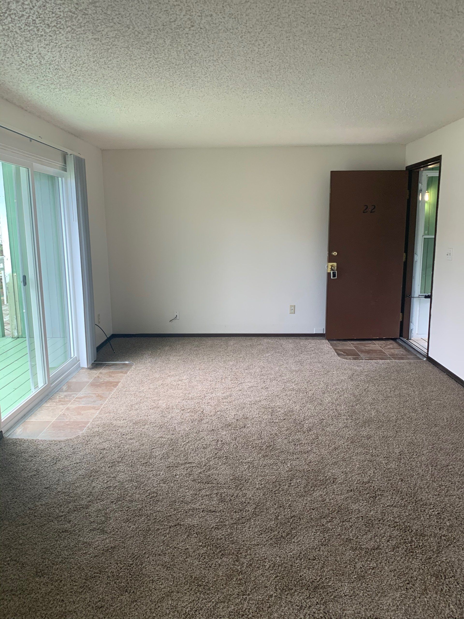 An empty living room with a sliding glass door and a brown door.