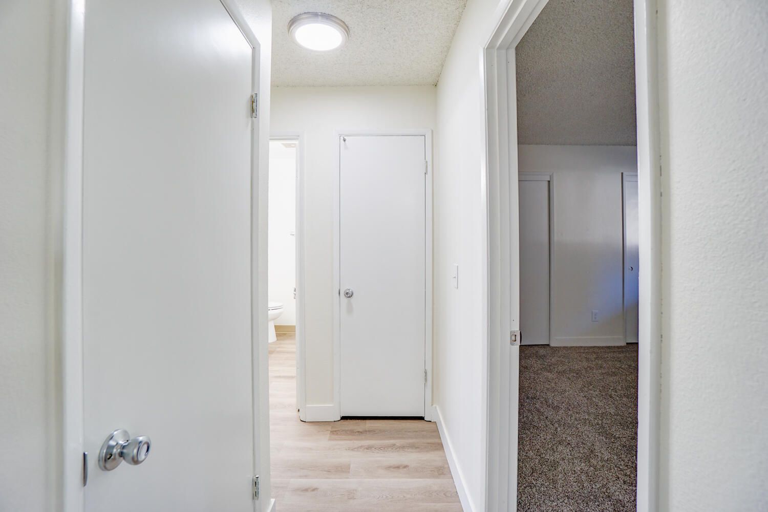 A hallway in a house with white doors and a light on the ceiling.