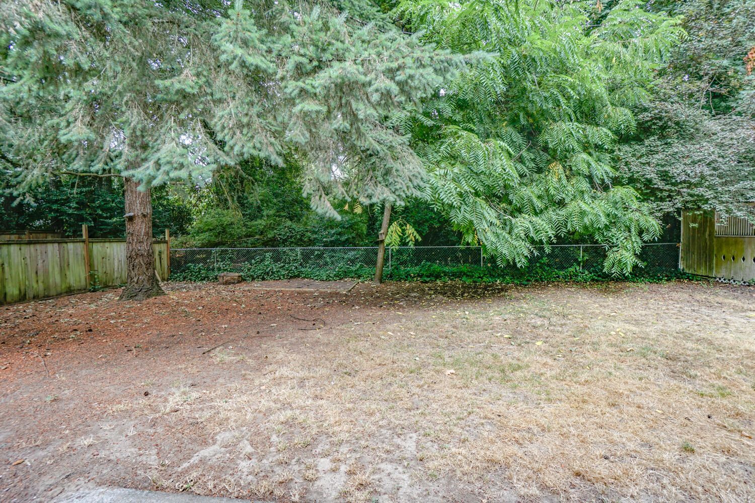 An empty backyard with a fence and trees in the background.