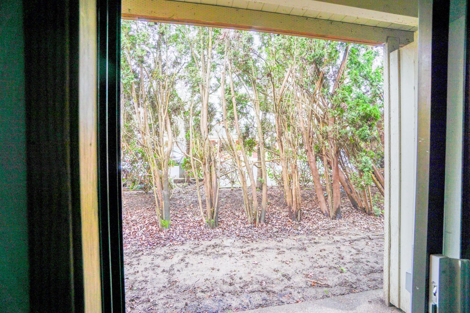 A view of a lush green forest from a garage door.