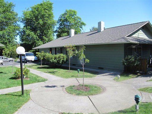 A green house with a gray roof is surrounded by grass and trees