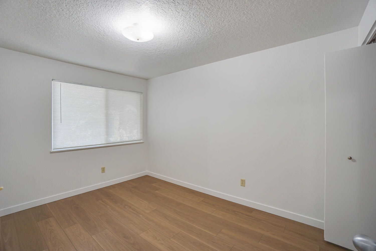 Empty room with wood flooring, a window with blinds, and a white closet door.