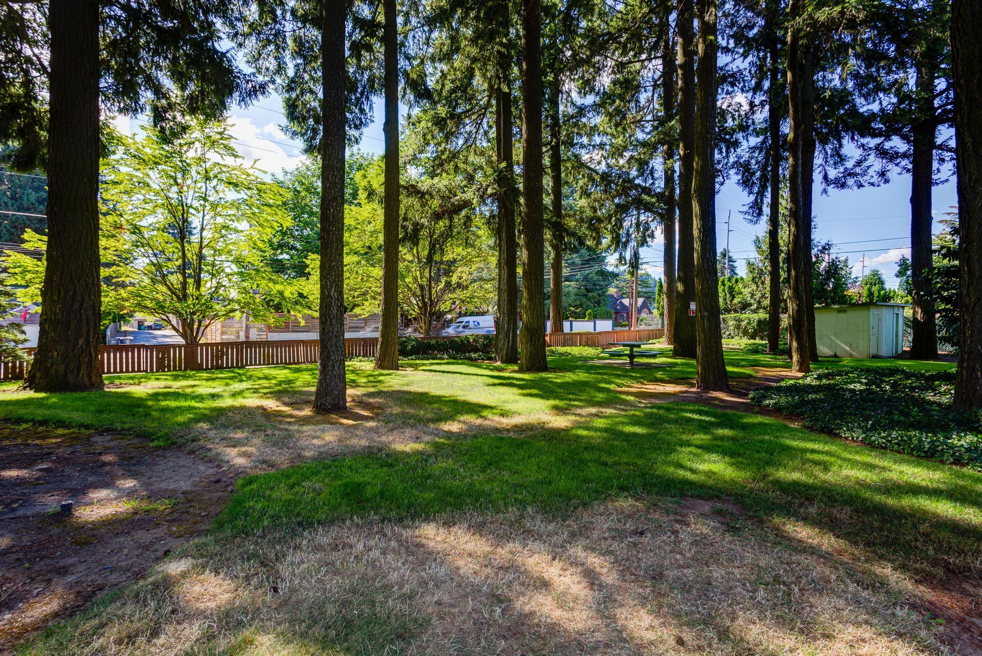 A lush green park filled with lots of trees and grass.