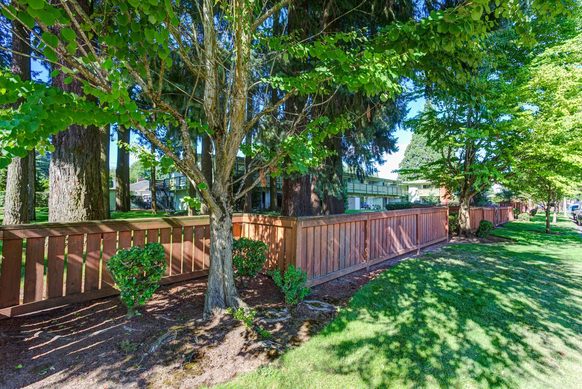 A wooden fence surrounds a lush green yard surrounded by trees.