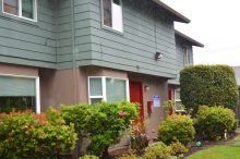 A house with a green siding and a red door is surrounded by bushes and trees.