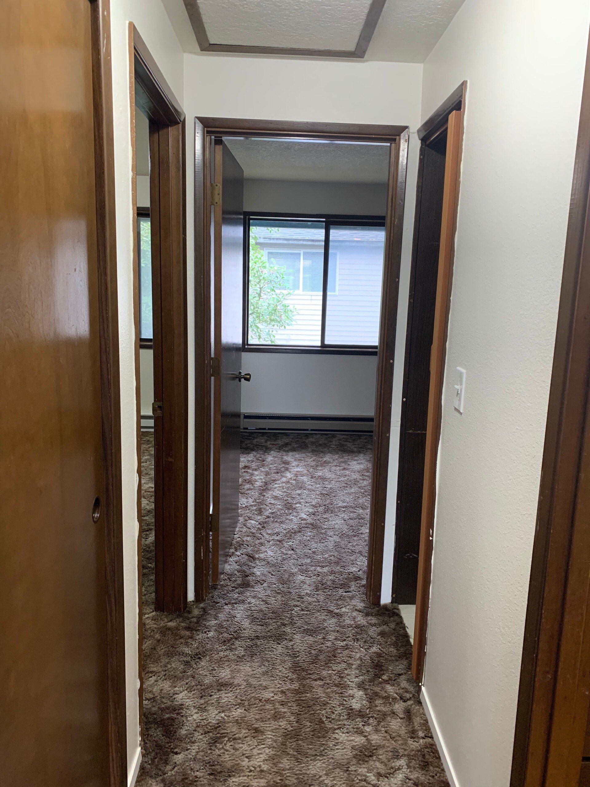A hallway with brown carpet and wooden doors leading to a living room.
