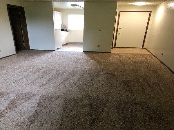 A living room with a brown carpet and a white door