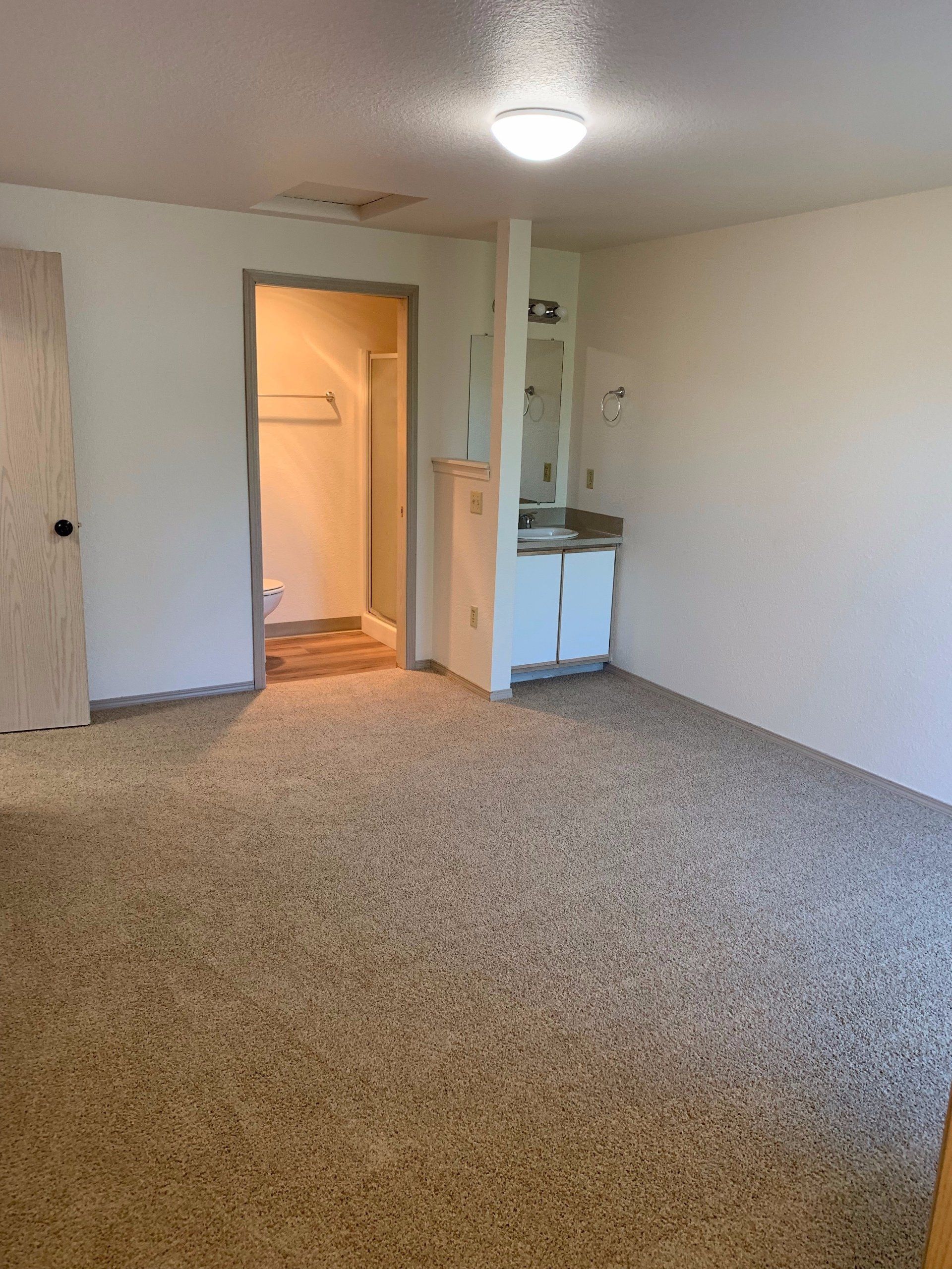 An empty room with a carpeted floor and a bathroom in the background.