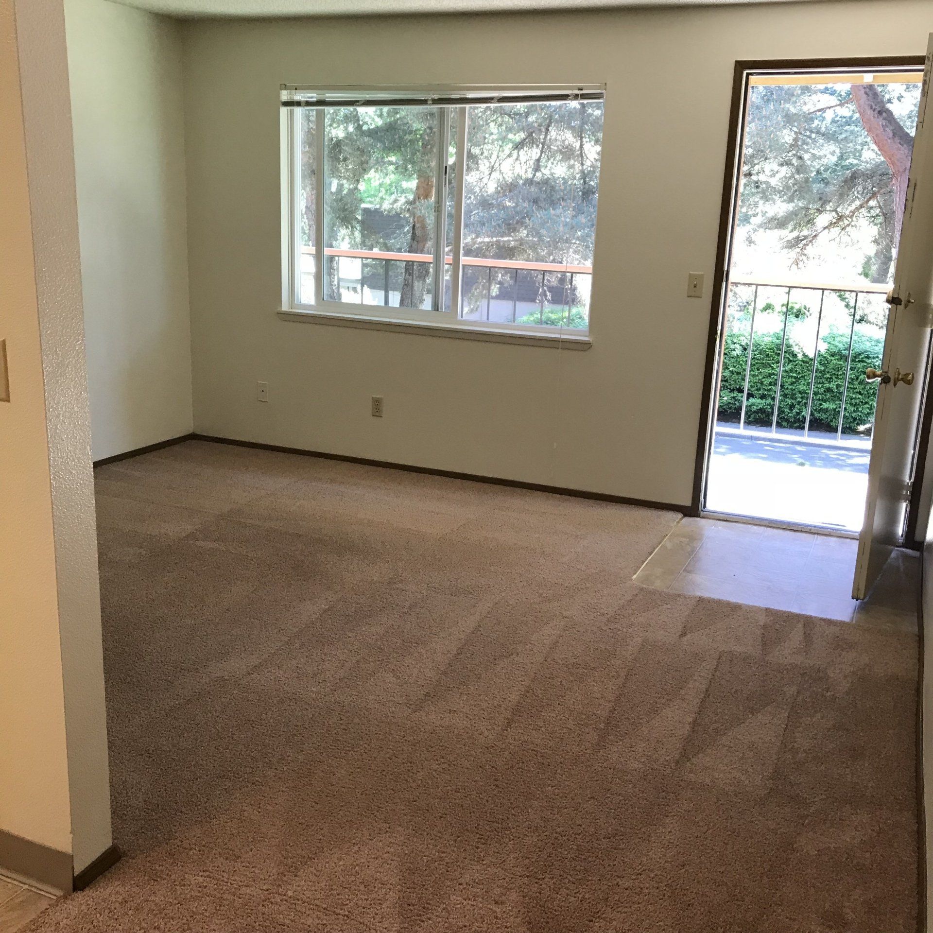 An empty room with a window and a door